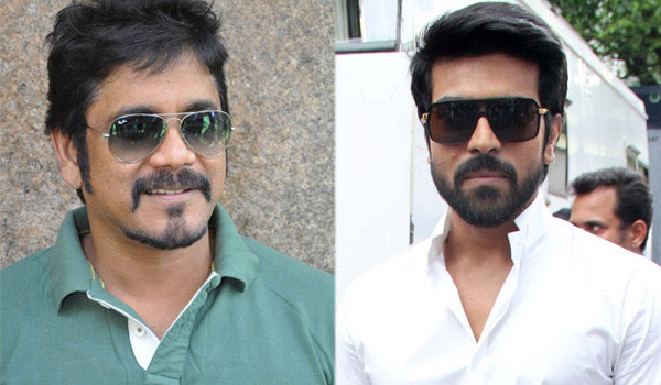 ram charan,akkineni nagarjuna,dhruva movie,december sentiment  నాగ్ సెంటిమెంట్ చరణ్ కు ఉంటుందా? 